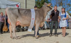 Miss Erstmelk Sirkan Sina von Studer Markus Schpfheim